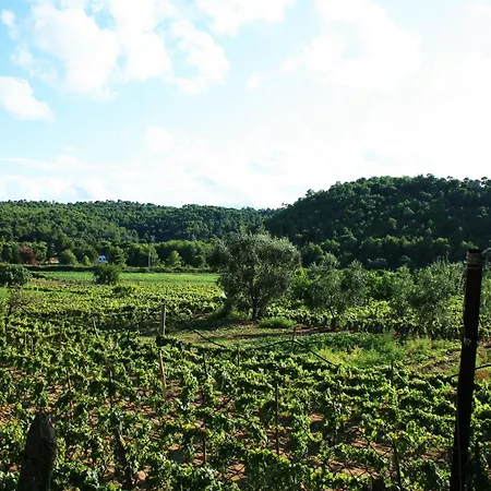 Campeggio Village San Michele *